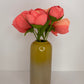 Coral Charm Peonies