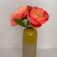 Coral Charm Peonies